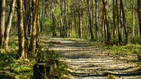 Tholpetty Wildlife Sanctuary