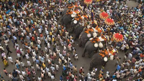 Thrissur Pooram - 6