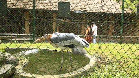 Thrissur Zoo - 2