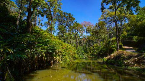 Vandanmedu, Idukki