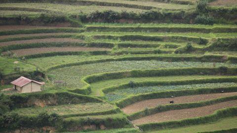 Vattavada hills, Idukki - 2