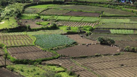 Vattavada, Idukki