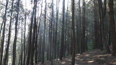 Wagamon, Idukki - 2