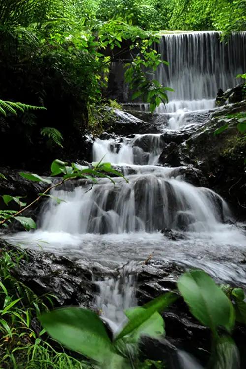 Chethalayam Falls