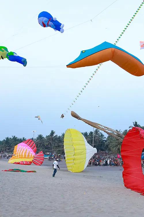 Kite Festival