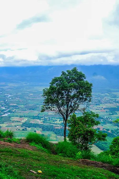 Pandikuzhi