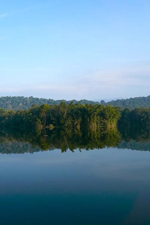 Parambikulam Tiger Reserve