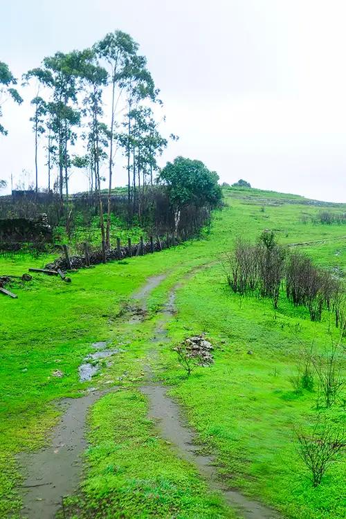 Thrissanku Hills