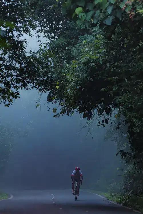 Tour of Thekkady