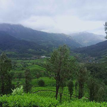 Munnar to Udumalpet