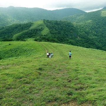 Sirvani Forest