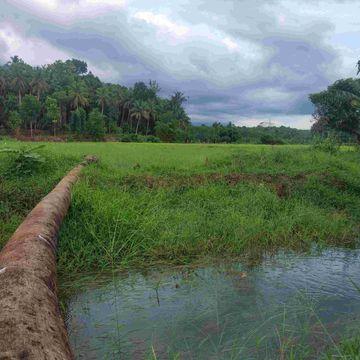 Chathamangalam, Kozhikode