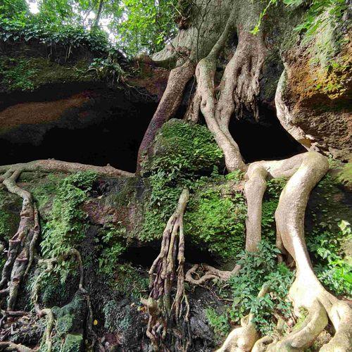 Kochareekkal Caves