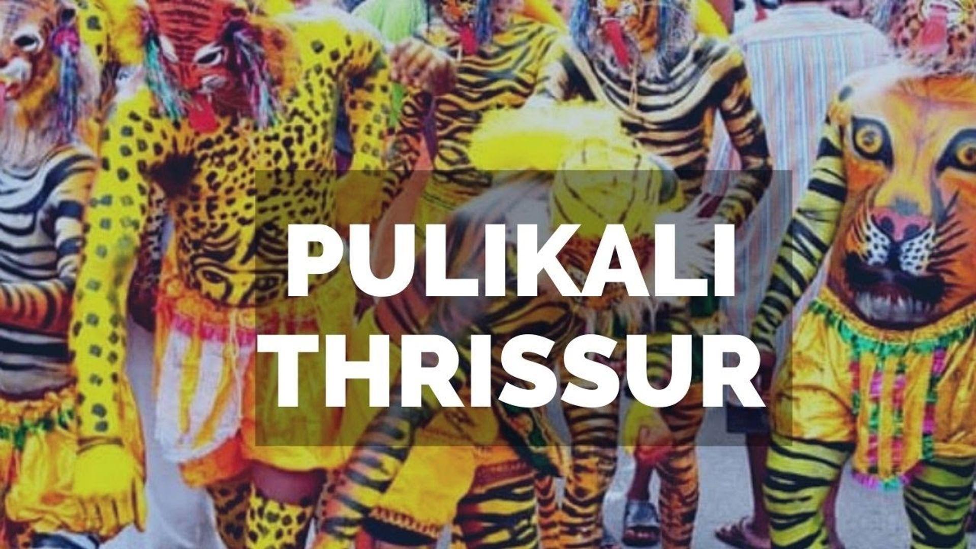 Pulikali - the tiger dance