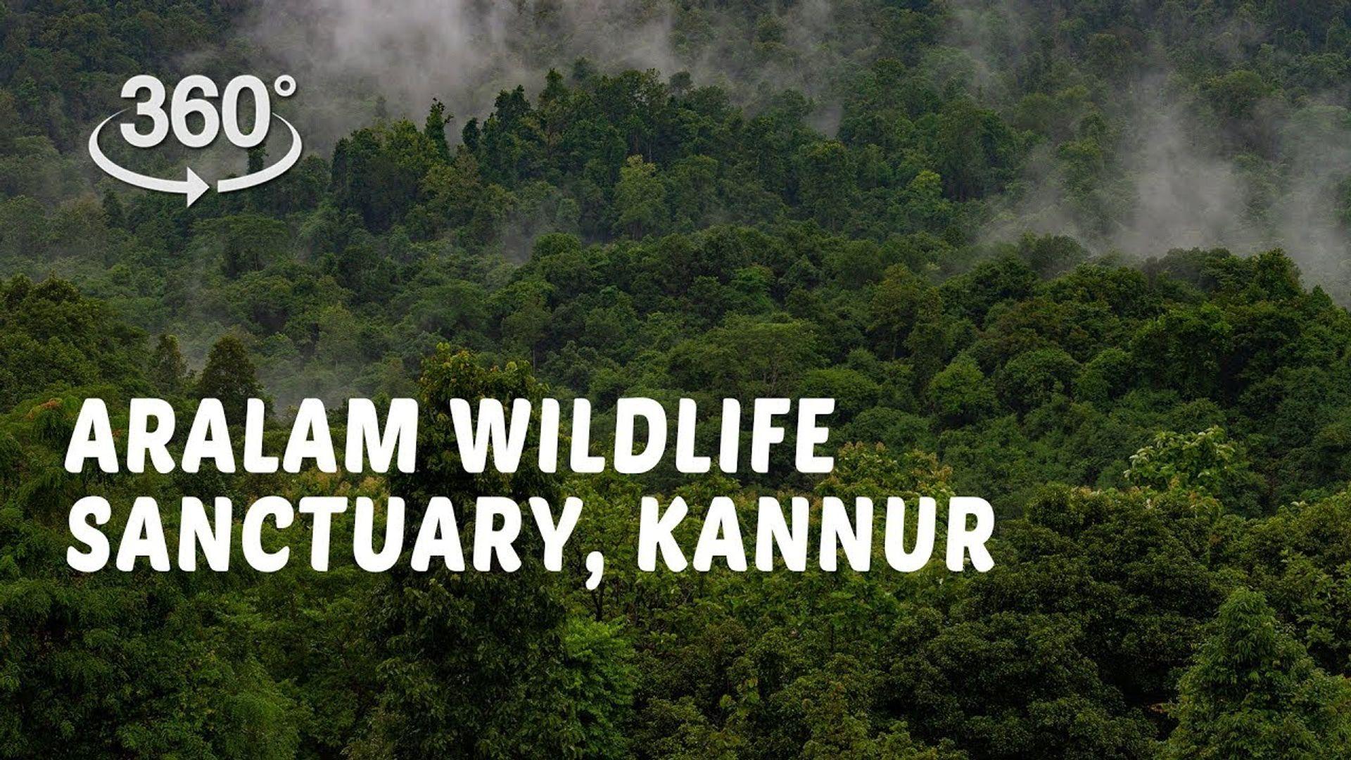 Aralam Wildlife Sanctuary, Kannur  | 360° Video