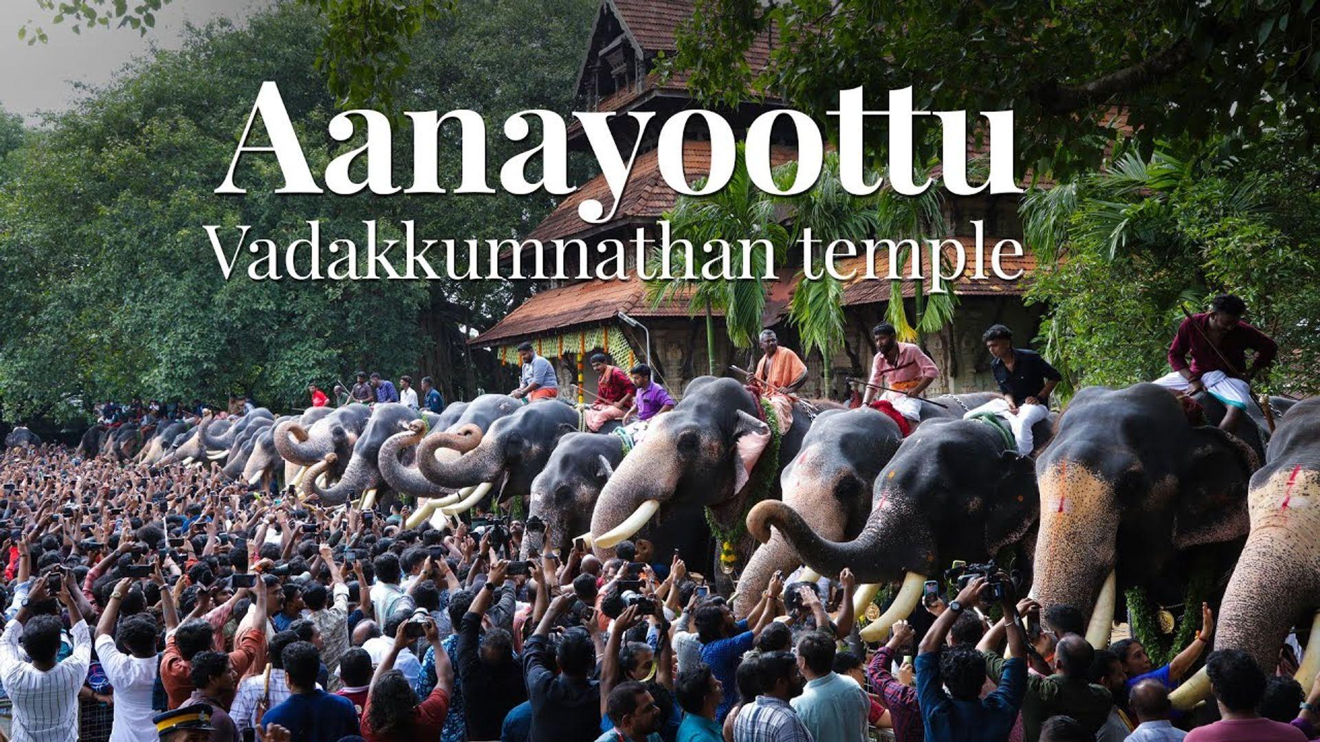 Aanayoottu at Vadakkumnathan Temple, Thrissur