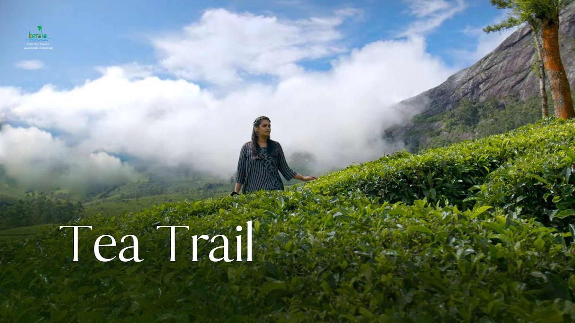 Tea Trail