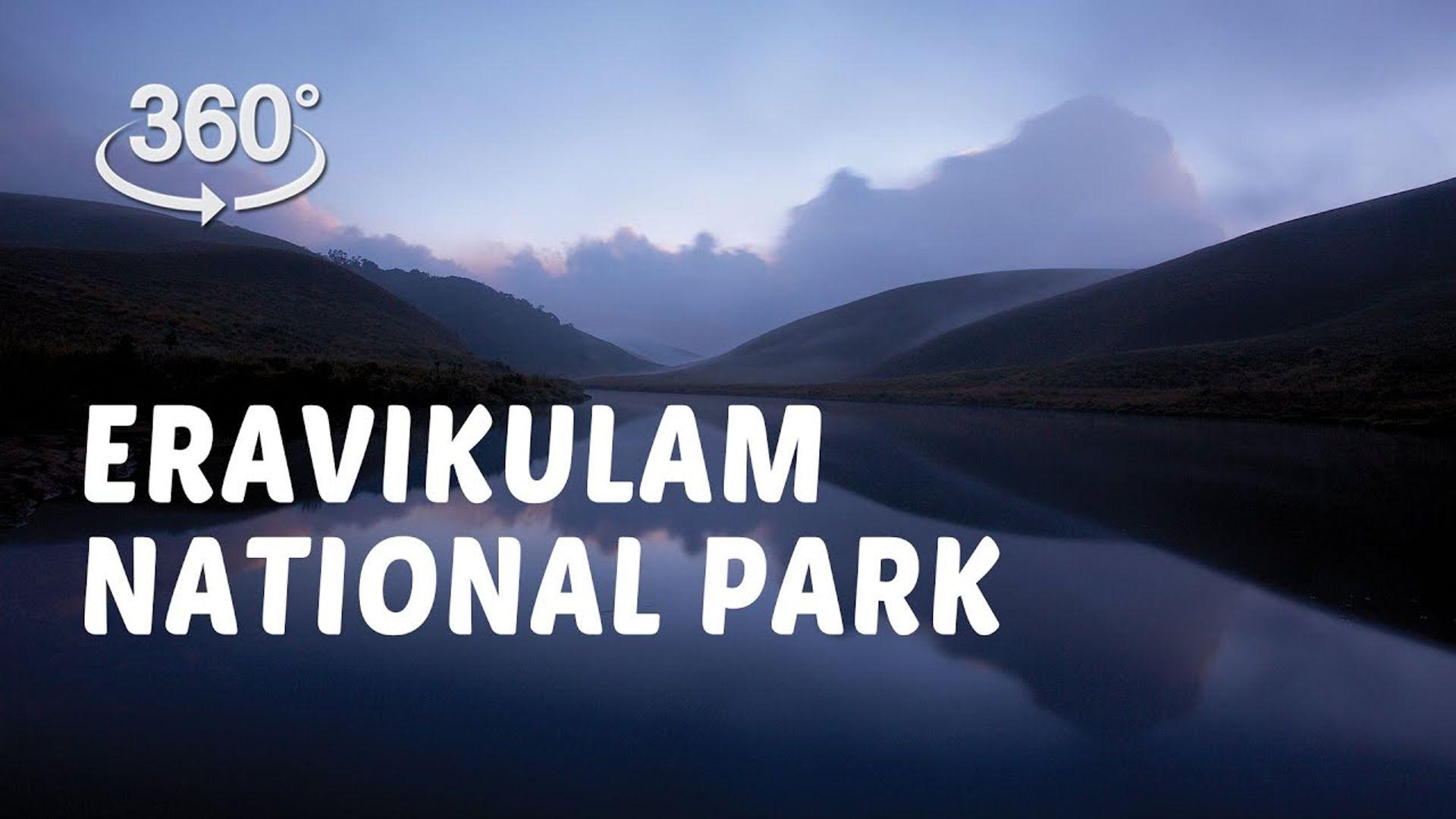 Eravikulam National Park | 360° Video