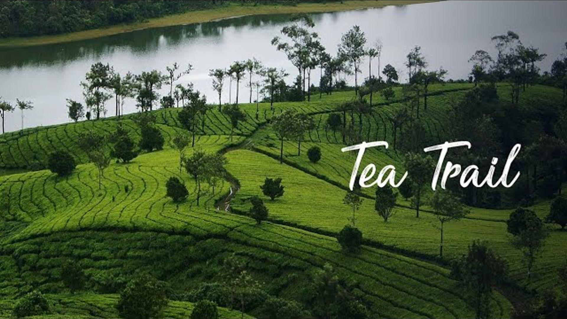 Tea Trail