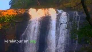 Palaruvi Waterfall