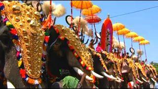 Nenmara Vallengy Vela, Festival Palakkad