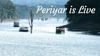 Periyar is live now - Visit Thekkady