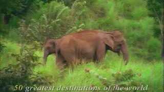 Hill Station Holidays, Kerala