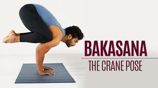 Bakasana - The Crane Pose