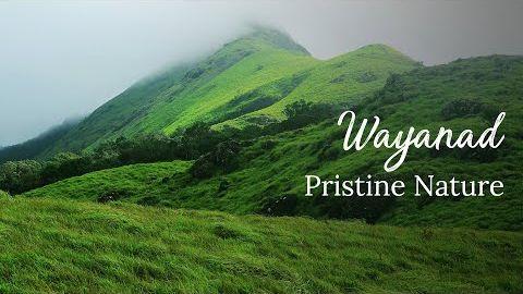 Wayanad 