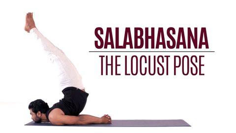 Salabhasana - The Locust Pose