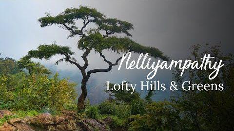 Nelliyampathy 