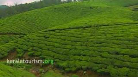 Munnar