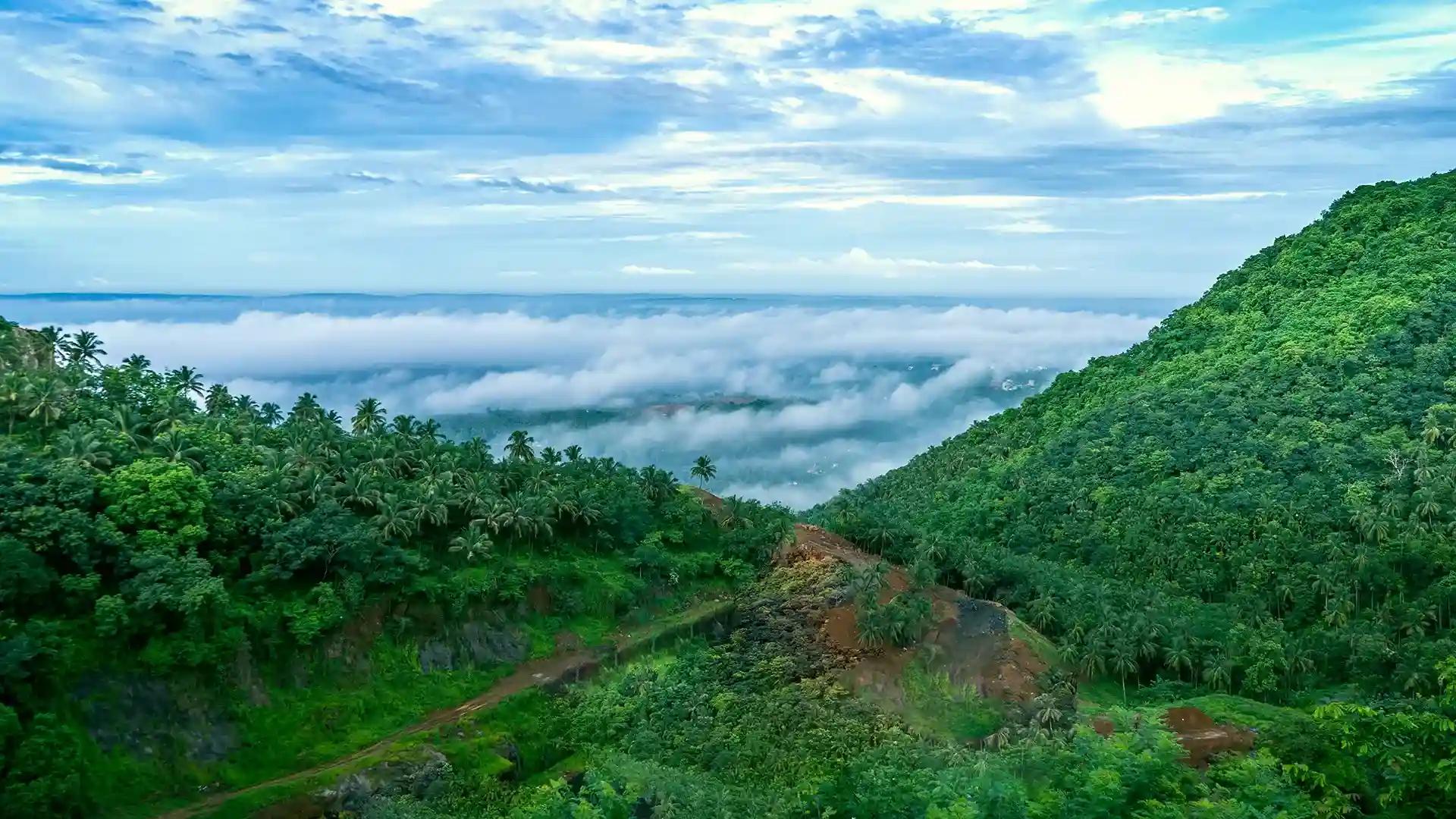 Arimbra Hills or Mini Ooty, Malappuram Arimbra Hills or Mini Ooty, Malappuram