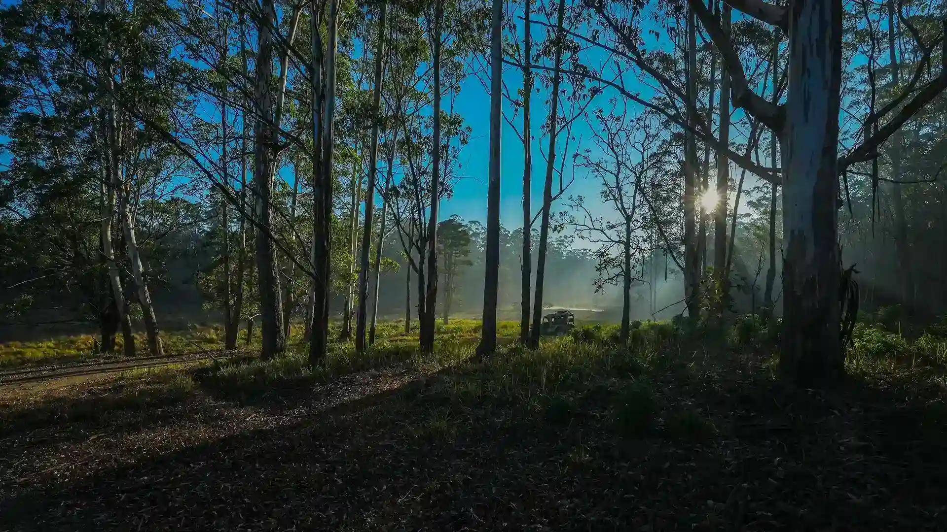 Muthanga Jeep Safari Muthanga Jeep Safari