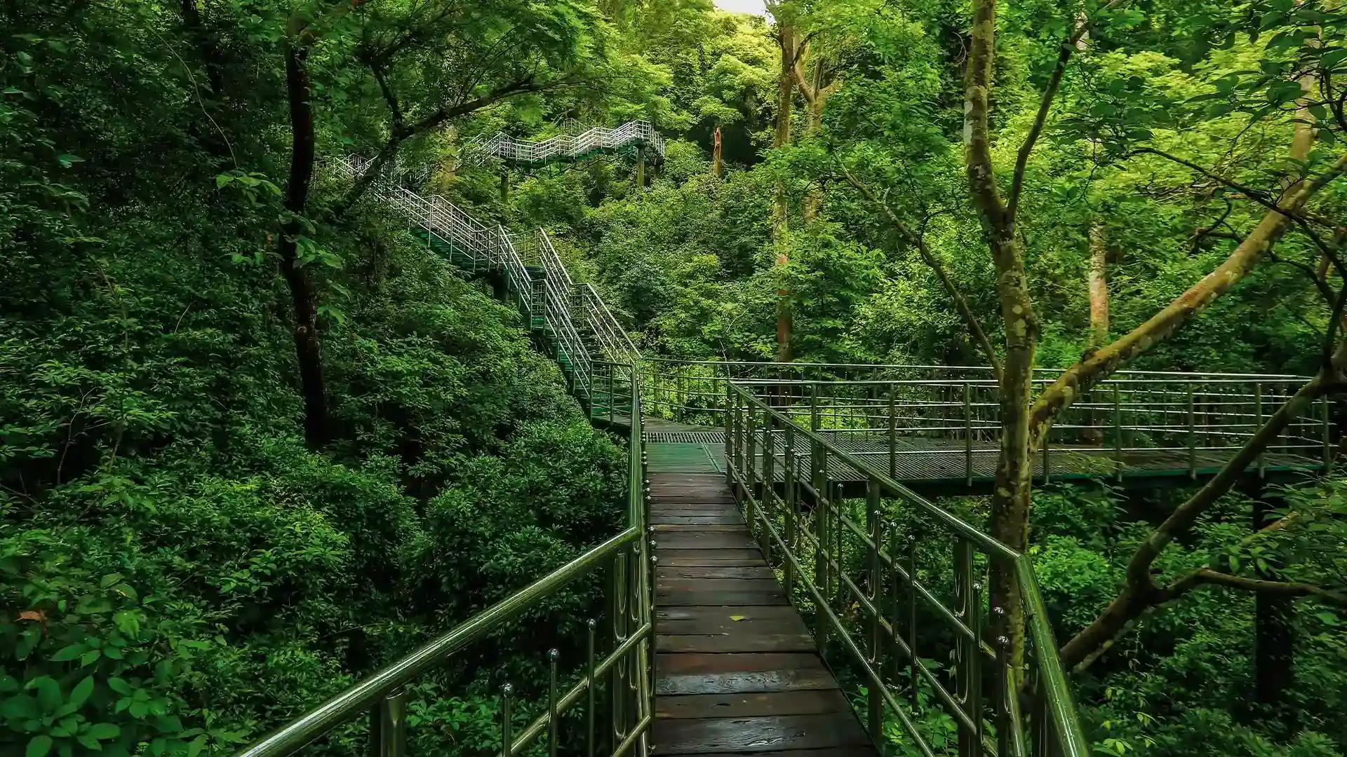 Thenmala Thenmala