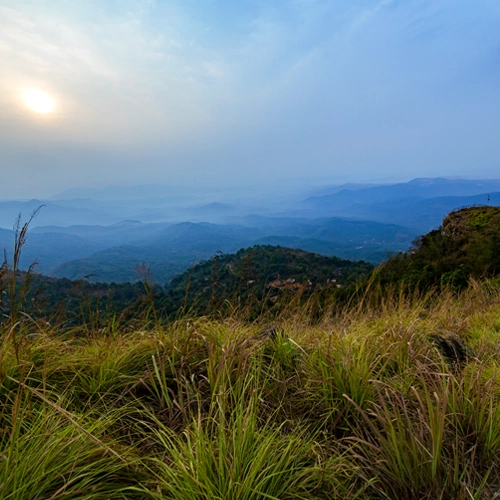 Palakkayam Thattu