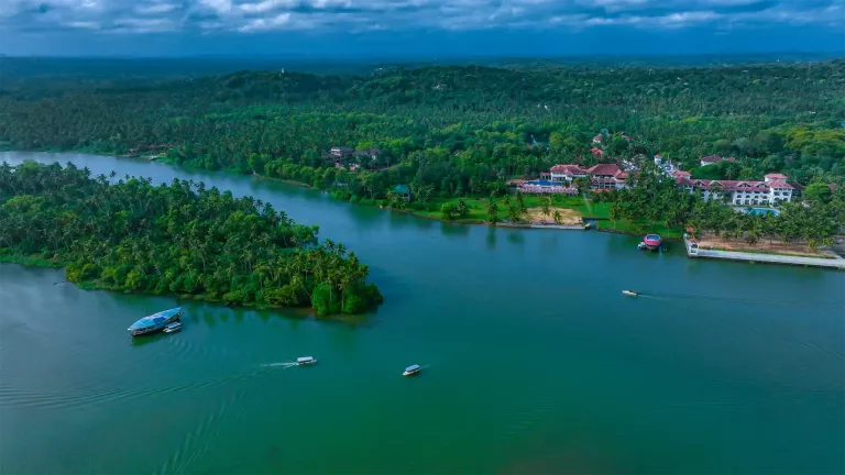 Poovar Backwaters