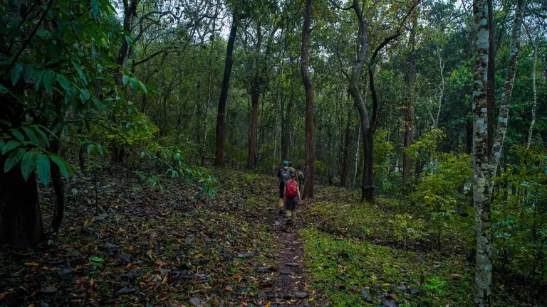 Trekking at Periyar Tiger Reserve