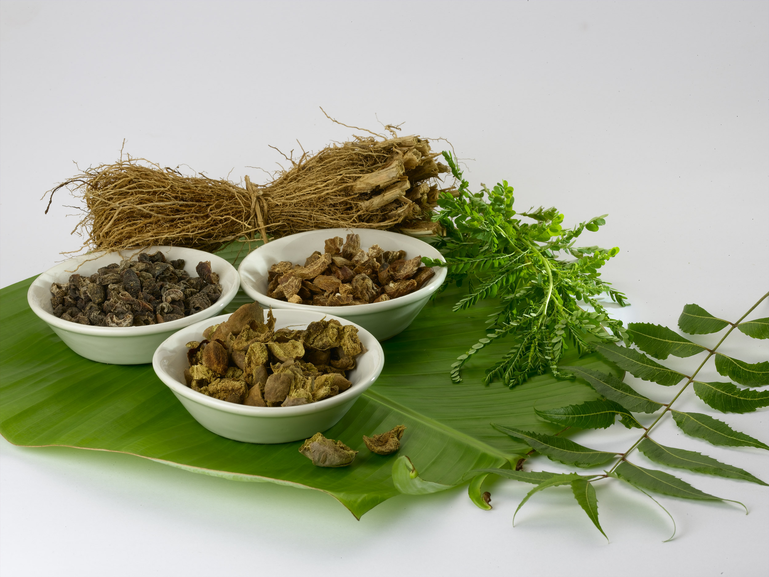 home clinic our treatments ayurveda kerala contact