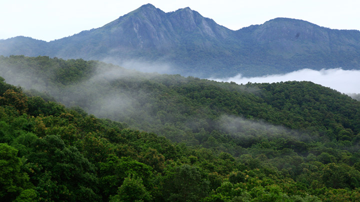 Silent Valley National Park in Palakkad
