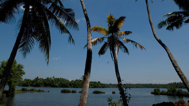 Kayaking to Ponnumthuruthu in Varkal  Golden Island Trivandrum 🏝️  #varkala #trivandrum #kerala 