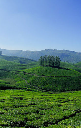 Vattavada, Hill station, Munnar, Idukki | Kerala Tourism