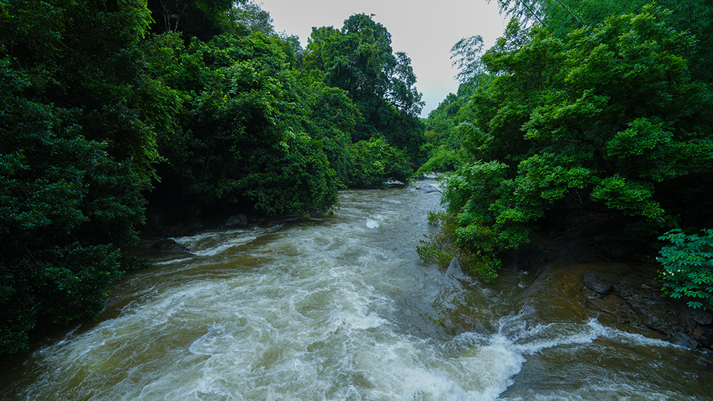 Moolepadam Waterfalls, Malappuram