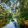 Adavi Eco-Tourism – Experience the Thrill of Coracle Boating in the Lush Forests of Pathanamthitta