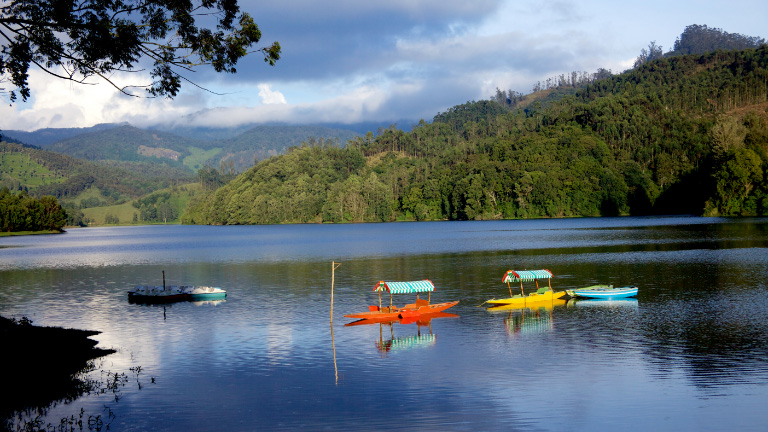 Thekkady - The Dream Destination