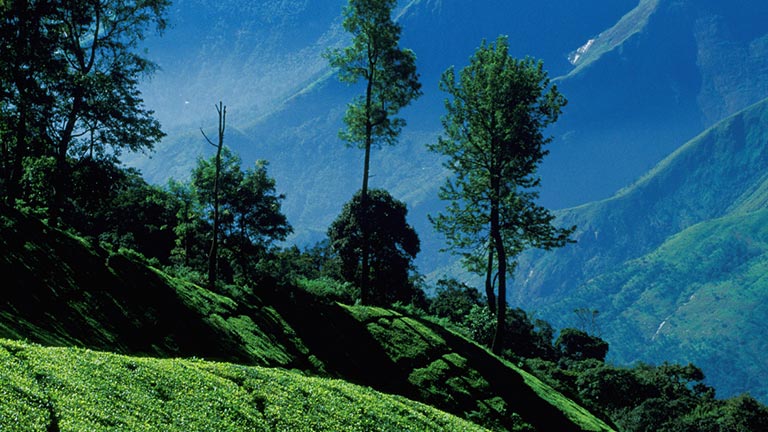 Munnar