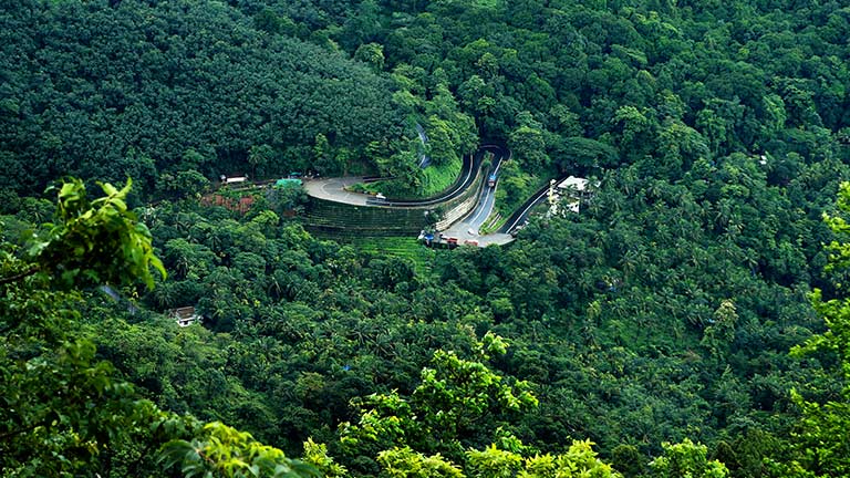 Wayanad - Green paradise