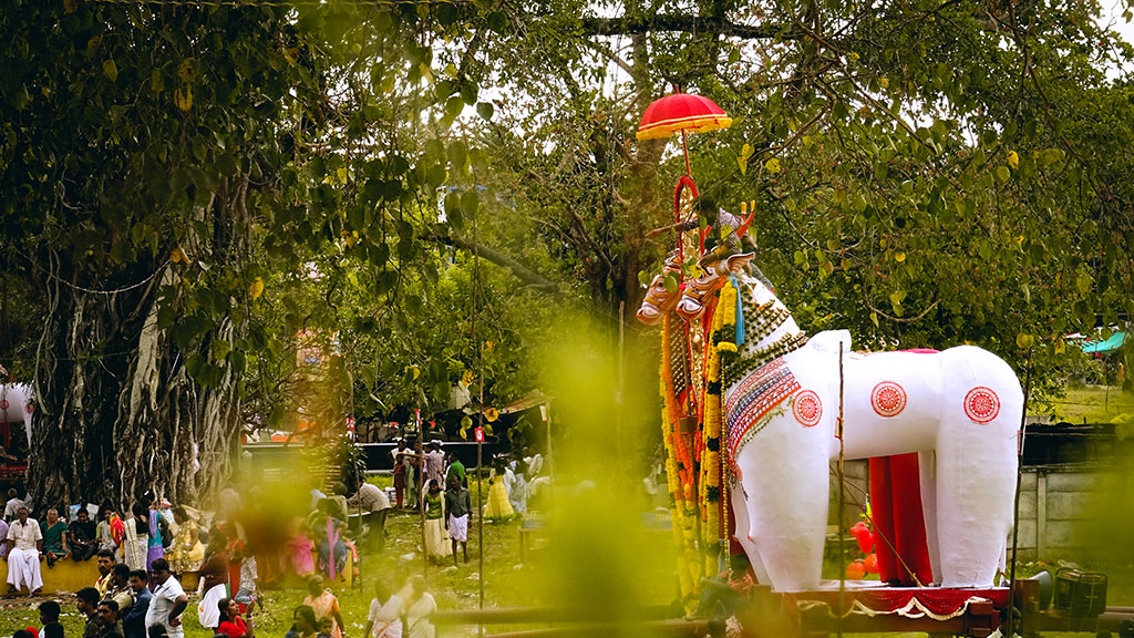 Oachira Kalavela | Kalakettu temple festival | Oachira Parabrahma temple |  Photo gallery | Kerala Tourism
