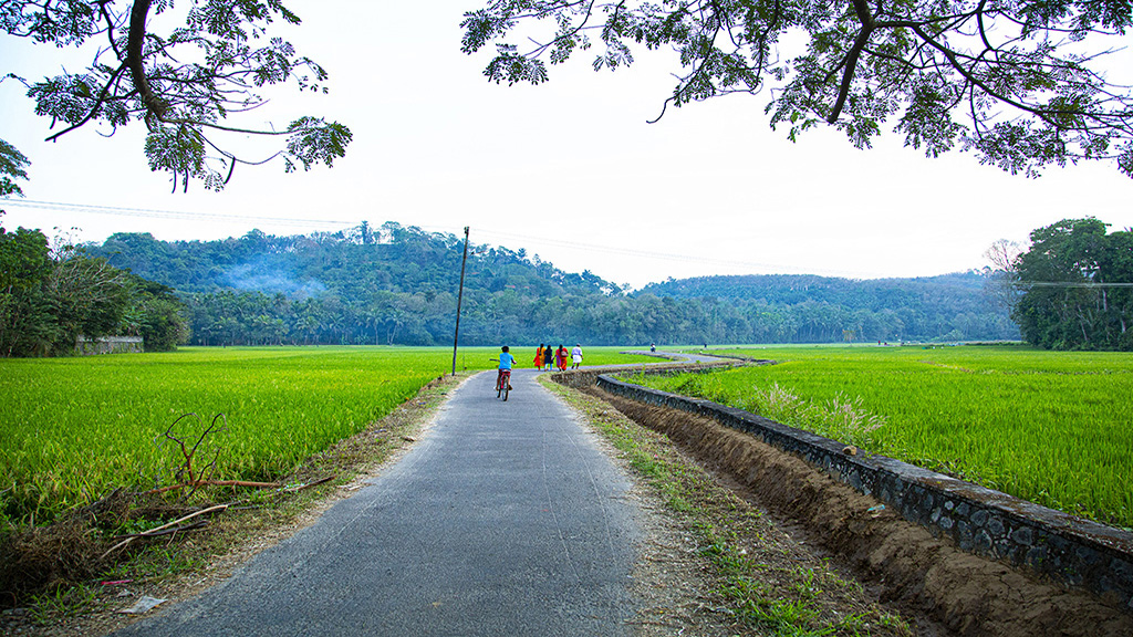 Thrithala, Palakkad