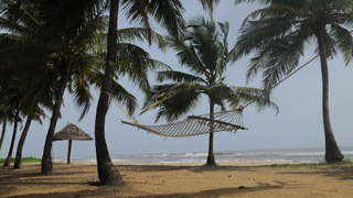 Sandy shores of Kerala beaches